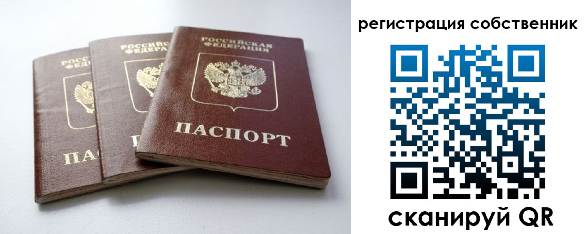 прописка для школы в Солнечногорске